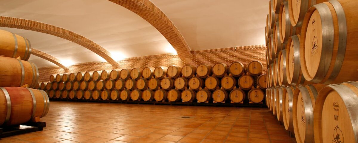 ENTRE BARRICAS VINOS Y TAPAS