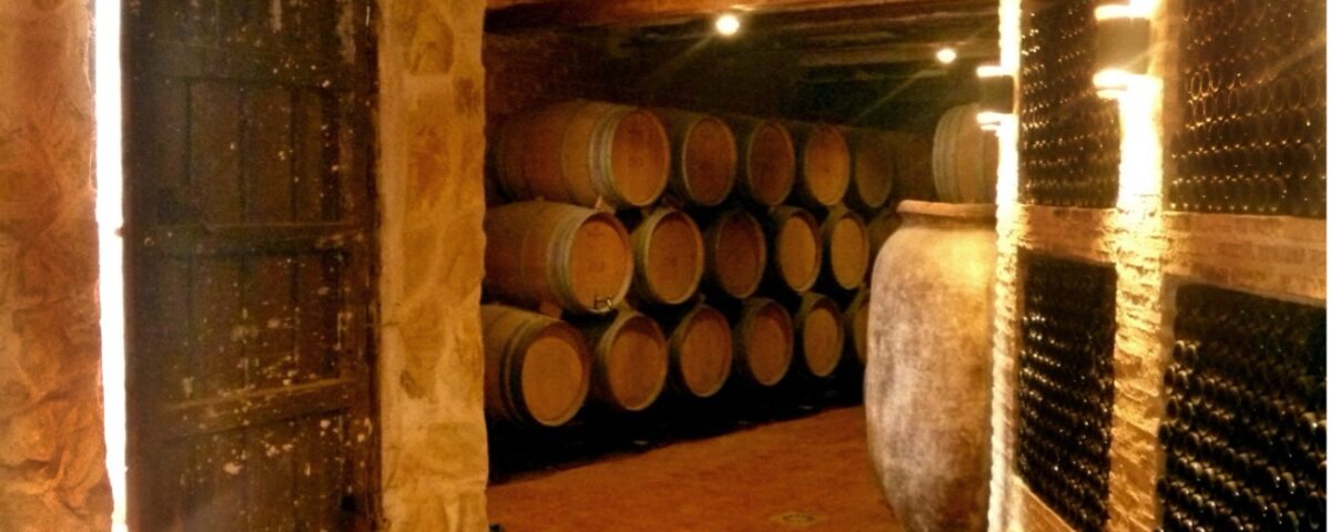 SABOREA EL PROCESO DE UN VINO ECOLÓGICO