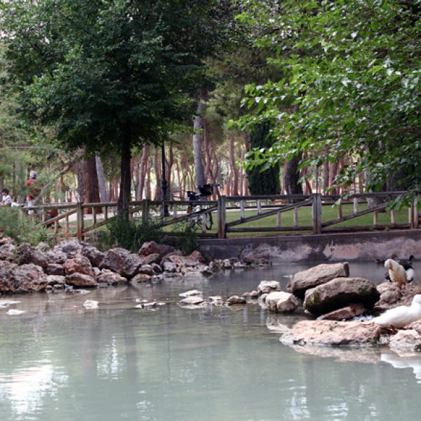 Alcázar-de-San-Juan_