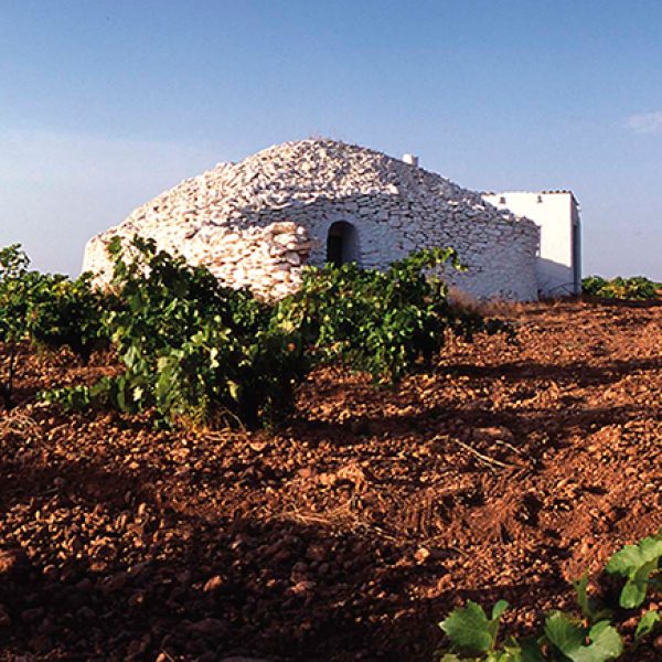 Bombos-de-Tomelloso- Bombos-de-Tomelloso-