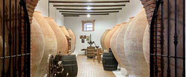 CATA DE VINOS ENTRE TINAJAS CENTENARIAS