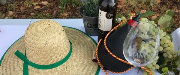 ATARDECER MANCHEGO: ROMANCE Y VINO EN LOS VIÑEDOS ( Solo en verano) 