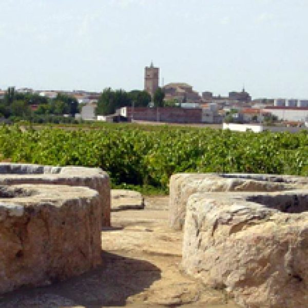 Panorámica-el-Toboso-