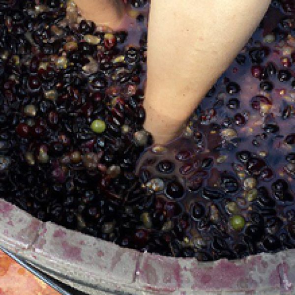 Turismo-Socuéllamos