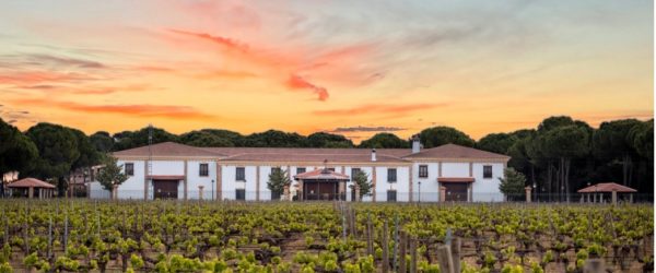 EL ENCANTO DEL VINO