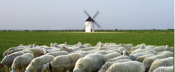 EL ORIGEN DE LA EXCELENCIA