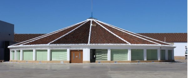 VISITA ARTE, TRADICIÓN Y VINO